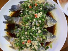 -全乐鱼馆·淳牌有机鱼直营店