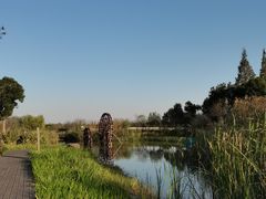 -长田漾湿地公园