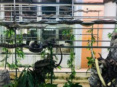 -荔城生鲜盛宴(番禺旗舰店)