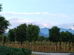 -青城山