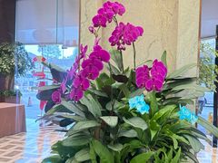 -上海虹桥宾馆(郁锦香品牌酒店)
