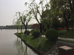 -上海鲜花港
