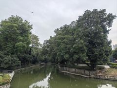-荔湾湖公园