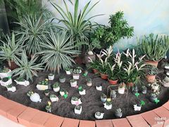 -南山植物园