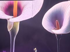 -华熙生物·润百颜ECM中心