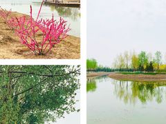-东郊湿地公园