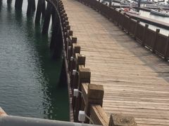 -鑫艋游艇海钓俱乐部