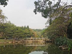 -云溪植物园