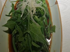 白灼丝瓜尖-雲蜀龙阁·金牌水煮鱼(方庄店)