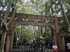 -灵谷景区