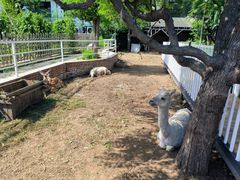 -丽泽山庄·生态怀柔菜·虹鳟鱼(红螺寺店)