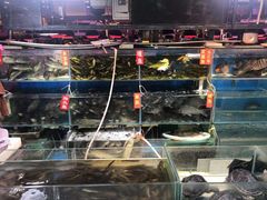 -王四营海鲜市场