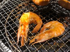 -鶴山李