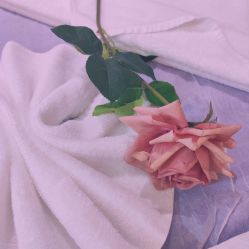 -蕾蕾美颜美容美体