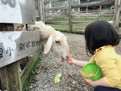 -前小桔亲子创意农场·草莓采摘·露营烧烤