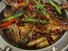 臭鳜鱼-小杨酒家(华苑小区店)