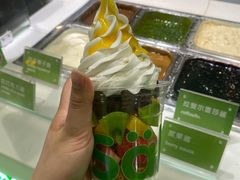 -Salud撒露欧洲冻酸奶(五道口购物中心店)