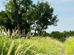 -汉长安城未央宫国家考古遗址公园