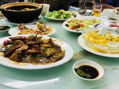 -新陶陶酒家