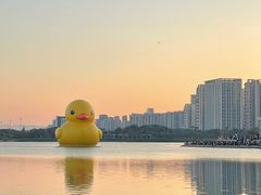 -深圳人才公园