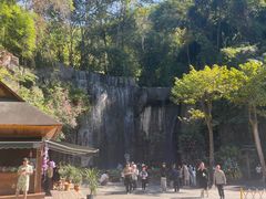-西双版纳原始森林公园