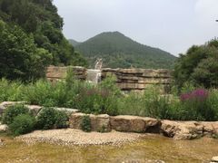 -黄花溪