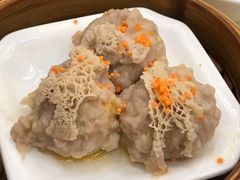 竹苼金沙猪肉丸子-顺德人家食府(黄金广场店)