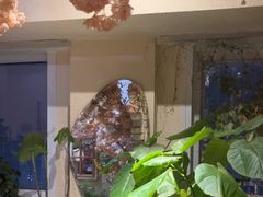 -桃花坞·私房菜餐厅(龙湖时代天街店)