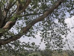 -古宇湖风景名胜区