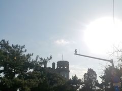 -八大关景区