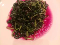 -新吉士·上海菜(浦东LCM置汇旭辉店)