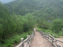 -磬锤峰森林公园