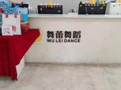 -舞蕾舞蹈(特长生校区)