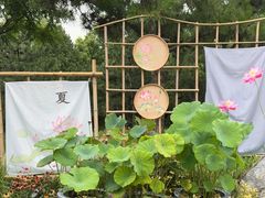 -莲花池公园