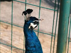 -杭州野生动物世界