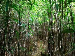 -鸡枕山