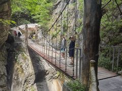 -牛背梁国家森林公园