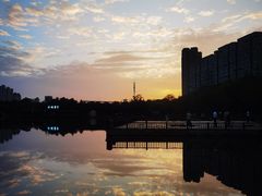 -洋湖国家湿地公园