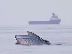 -涠洲岛南湾海洋运动公园