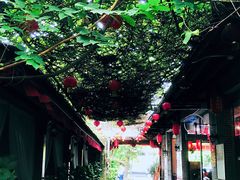 -农厨好味·温泉鹅·农家菜