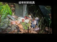 -金逸影城(影视中心IMAX店)