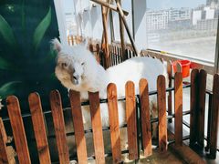 -昆明大悦城未来动物城(螺蛳湾中心店)