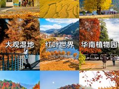 -中国科学院华南植物园