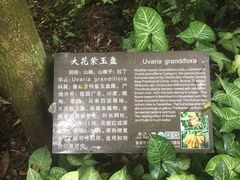 -海口火山口国家地质公园