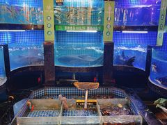 -千岛湖小鱼儿·淳安匠心农家菜