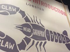 -红盔甲·小龙虾(长寿路店)