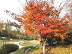 -苏州阳澄湖澜廷酒店-有景阁中餐厅