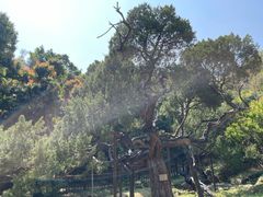 -草庵摩尼教遗址公园