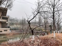 -麦积山温泉