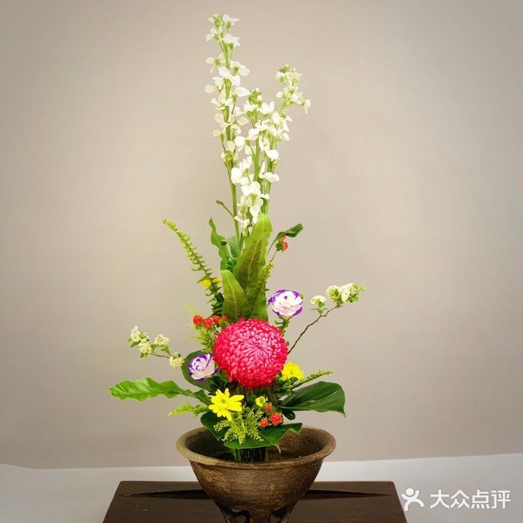 插花要知道的花材类型——线条型花材